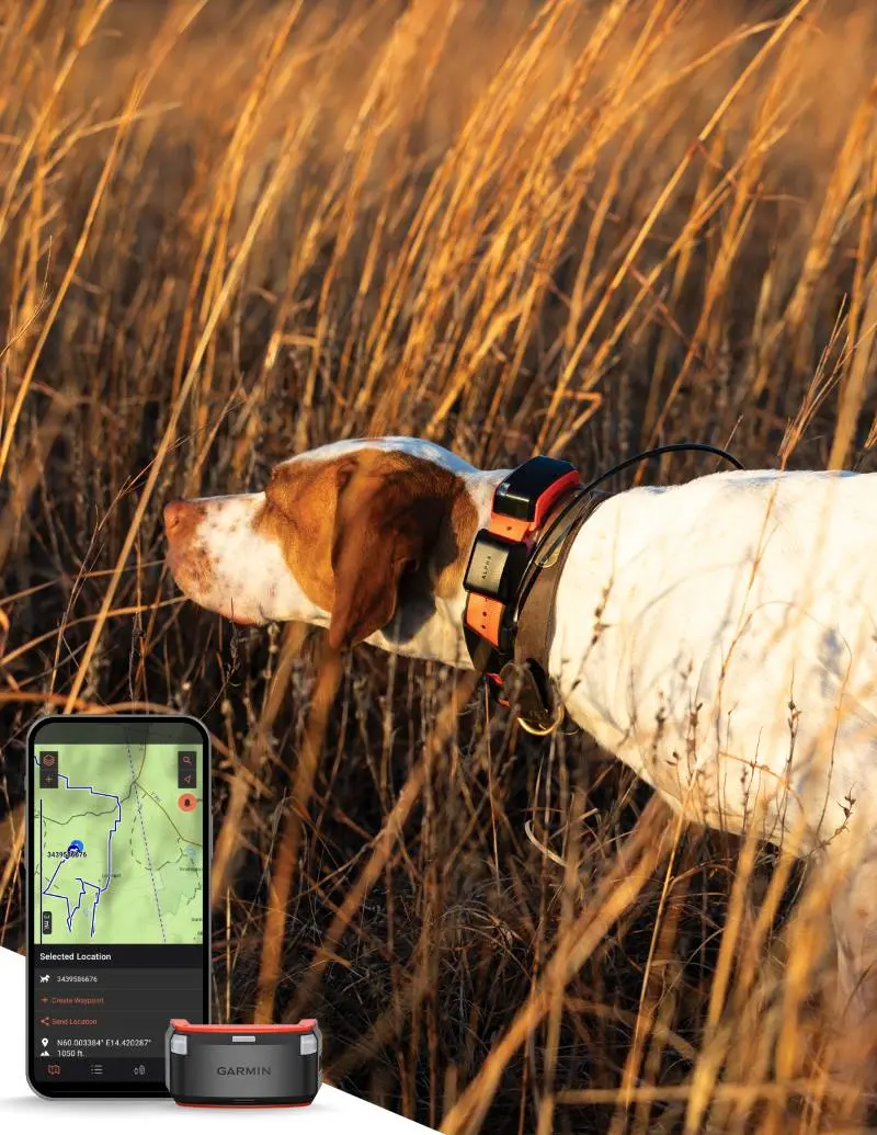 Garmin Alpha LTE