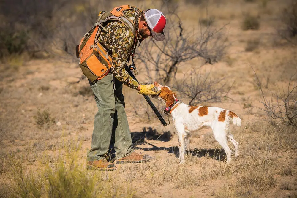 man in the field with his dog