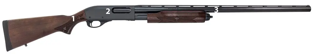 gun