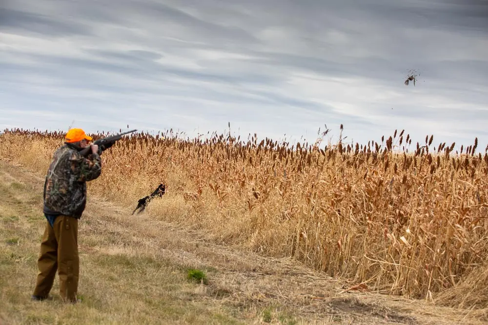 The Signature Lodge Pheasant Hunter