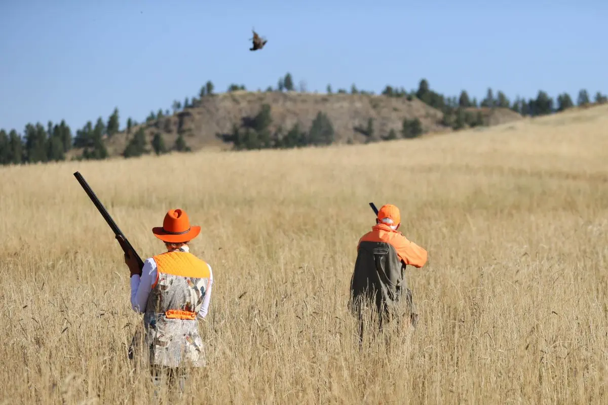 Sweetgrass at Thunderbasin Bird Hunting