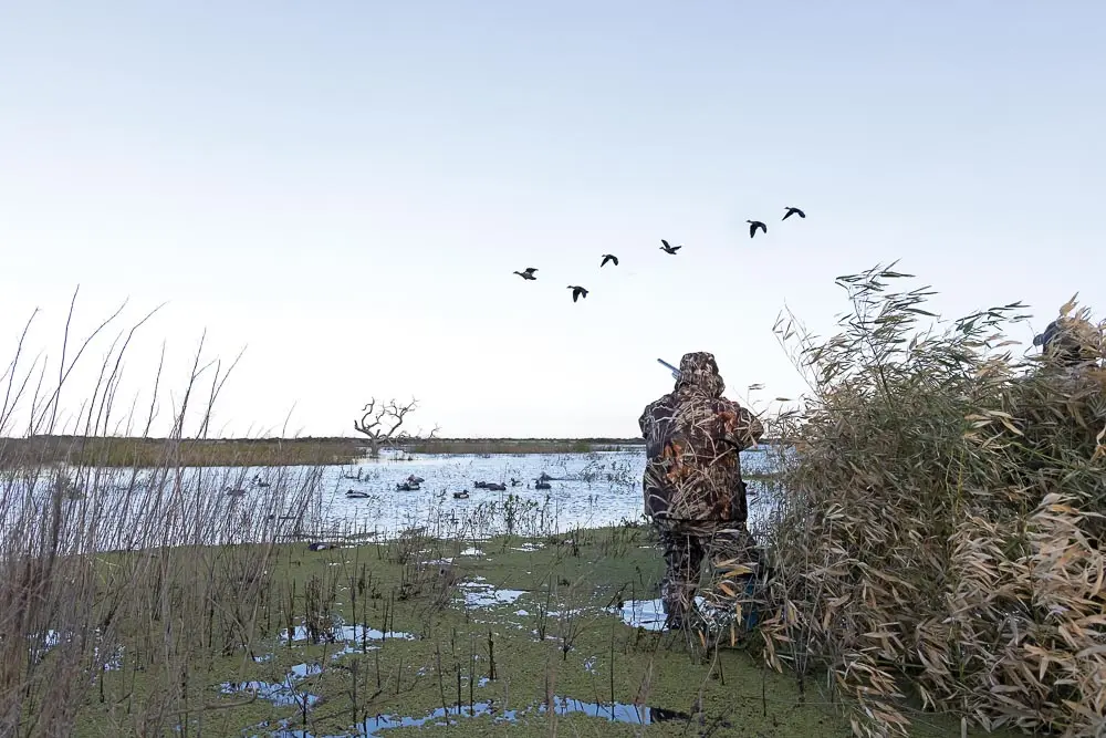 hunter shooting