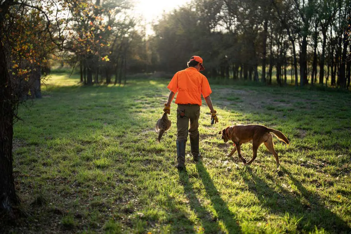 Greystone Dog and Hunter
