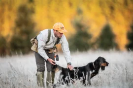 Expert dog trainer with setter