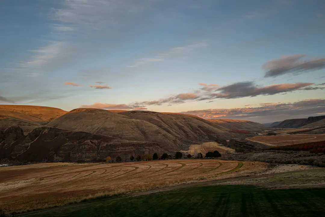 landscape with fields and blue skies scattered with clouds