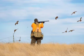 hunter takes aim on some birds overhead