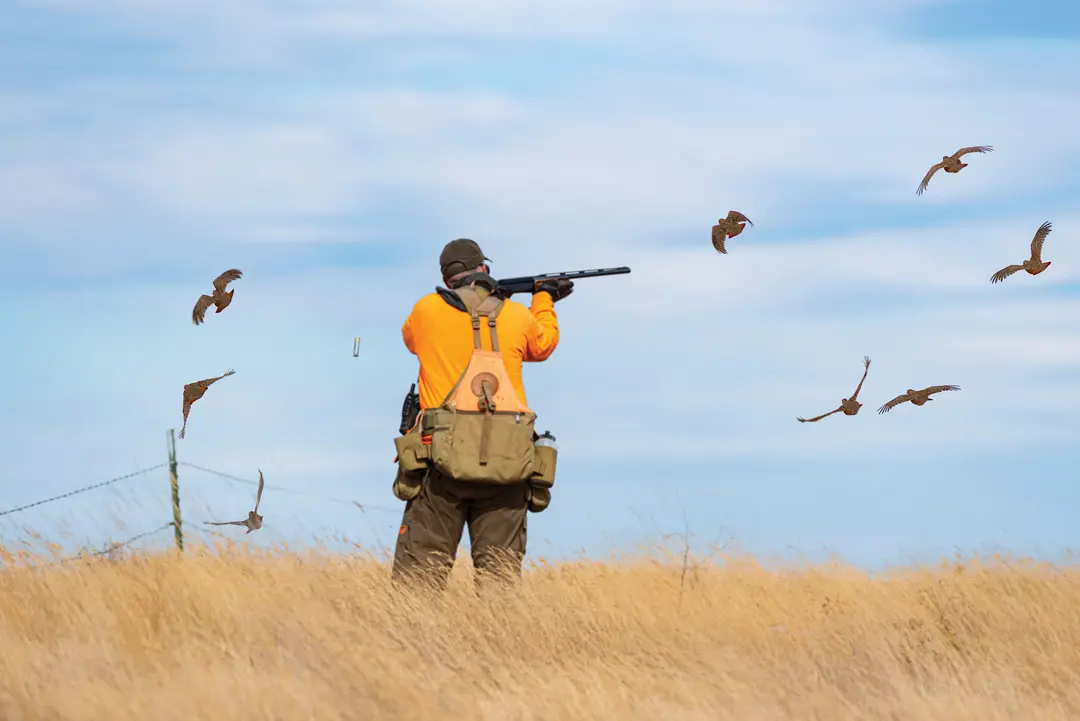 hunter takes aim on some birds overhead