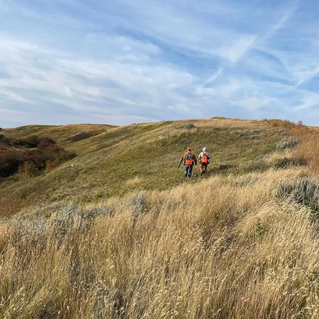 two hunters walking on a grassy hill