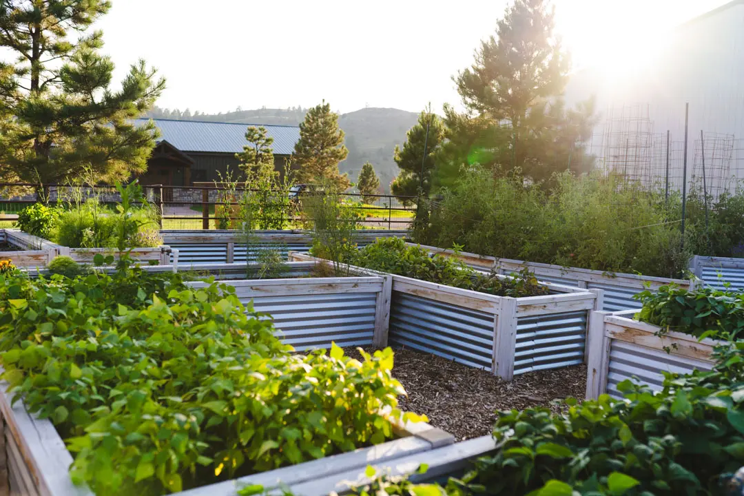 sweetgrass gardens