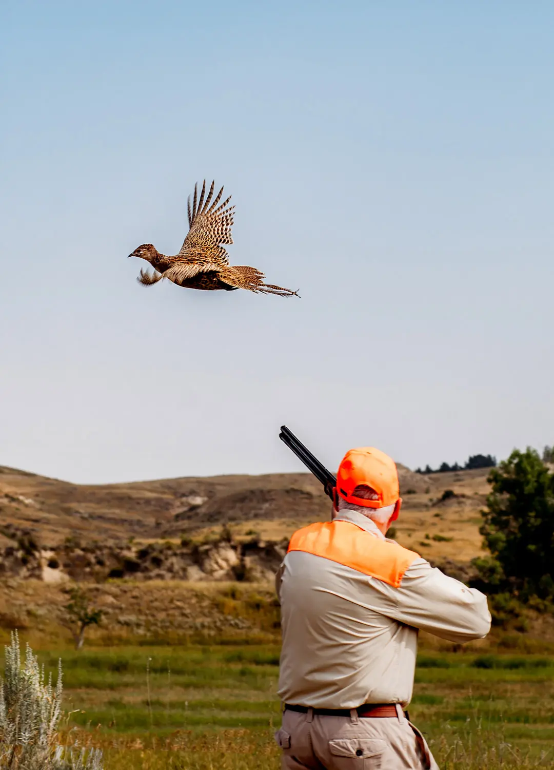 hunter taking aim at sweetgrass lodge