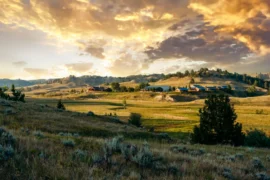 Sweetgrass at Thunderbasin