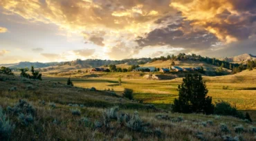 Sweetgrass at Thunderbasin