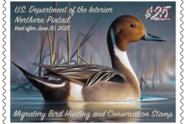 Federal Duck Stamp