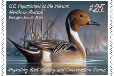 Federal Duck Stamp