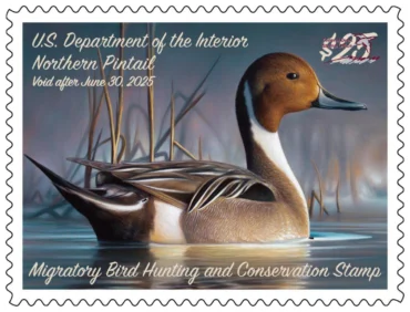 Federal Duck Stamp