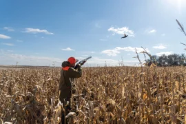 Hunter shooting in a field