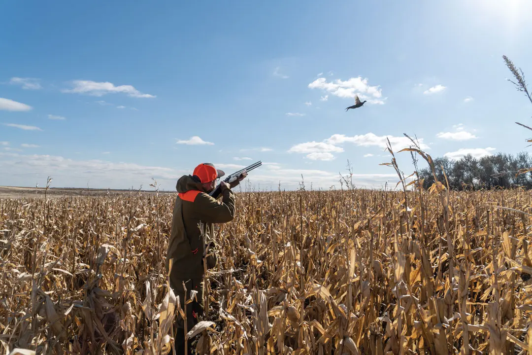 Hunter shooting in a field