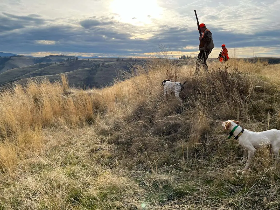 hunting at flying b ranch