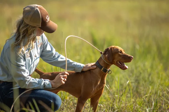 Dog handler training in a grassy field