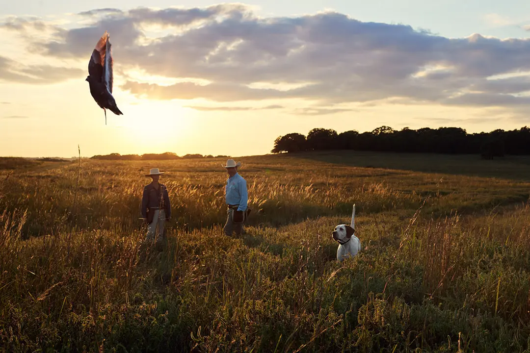 hunters and dog in a field at sundown