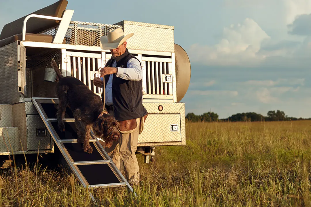 dog being led out of cage