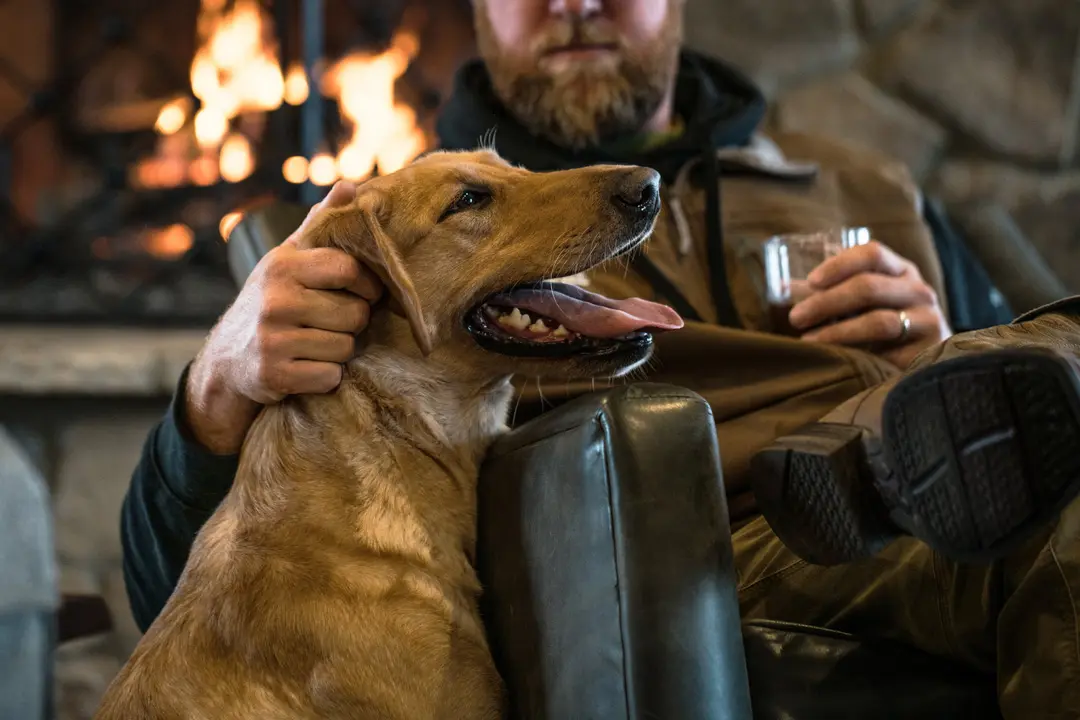 Yellow Lab and Owner beside a camp fire