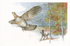 grouse watercolor painting