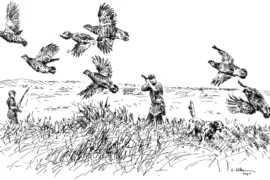 To the point sketch of a hunt in a field