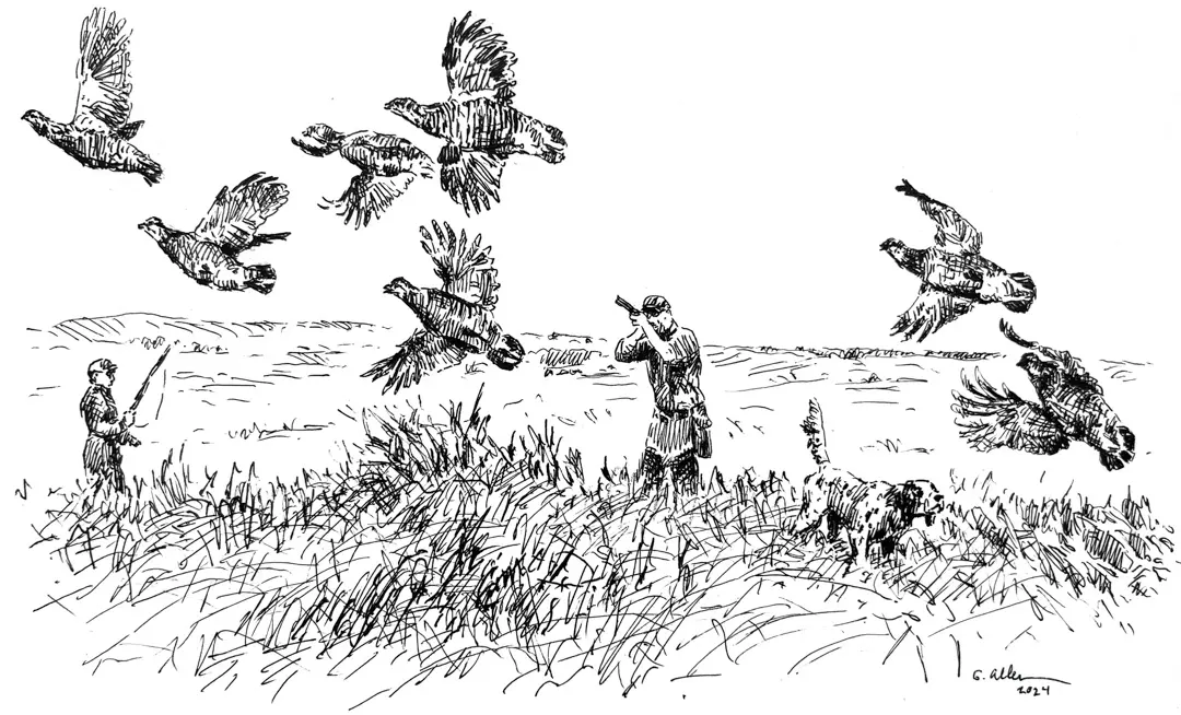 To the point sketch of a hunt in a field