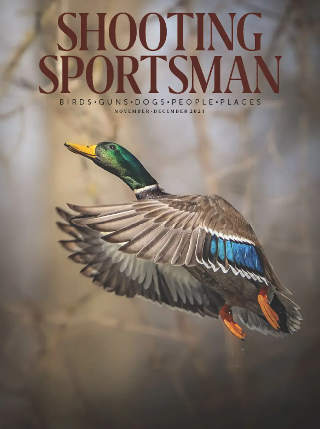 SSM November/December 2024 cover