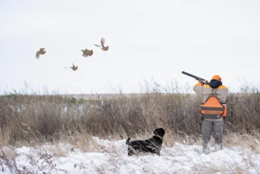 shooting in a snowy field