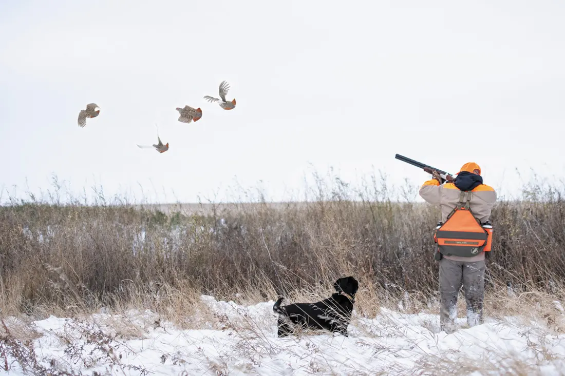 shooting in a snowy field