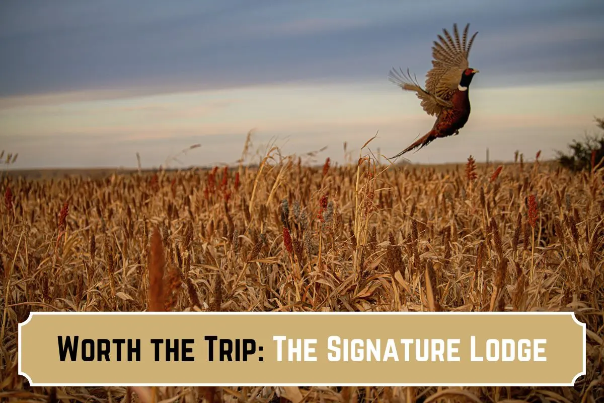The Signature Lodge by Cheyenne Ridge Outfitters