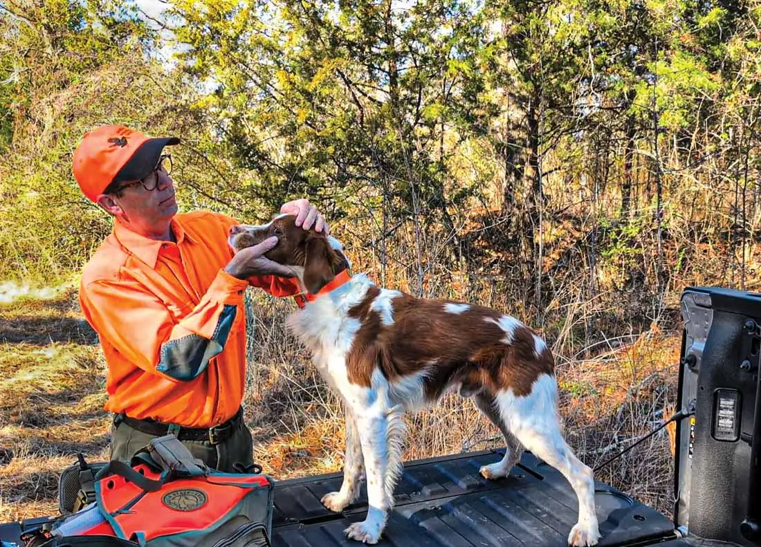 hunting dog in a truck bed being examined
