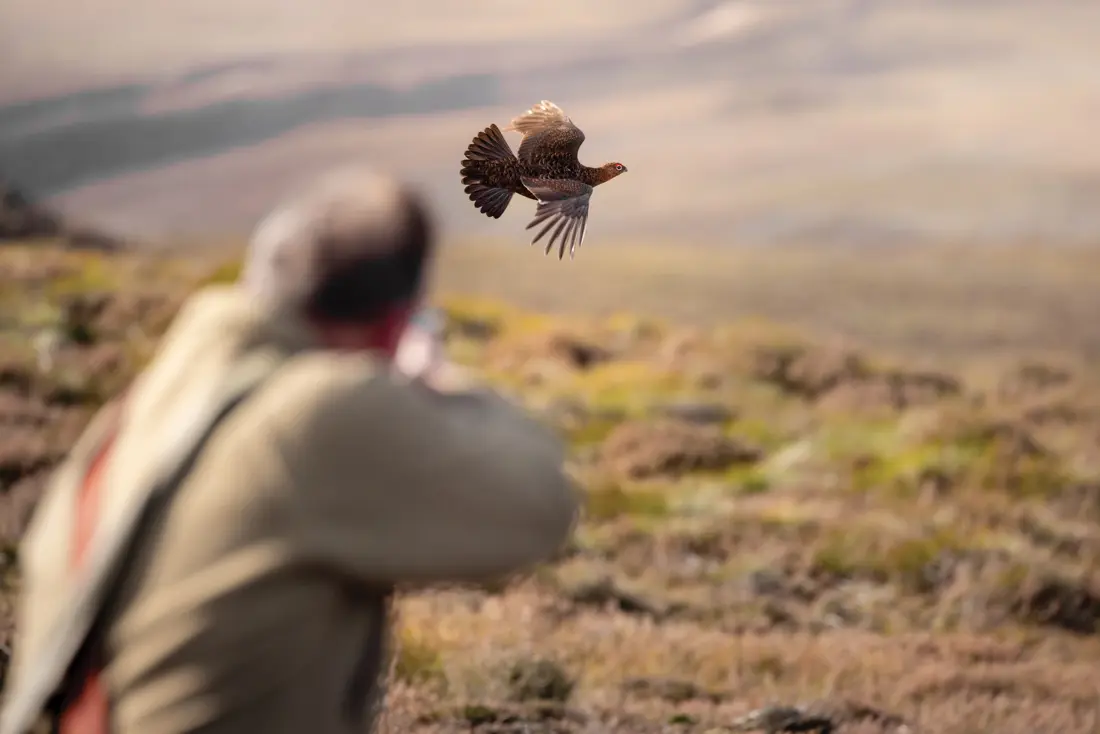 hunter taking aim on grouse