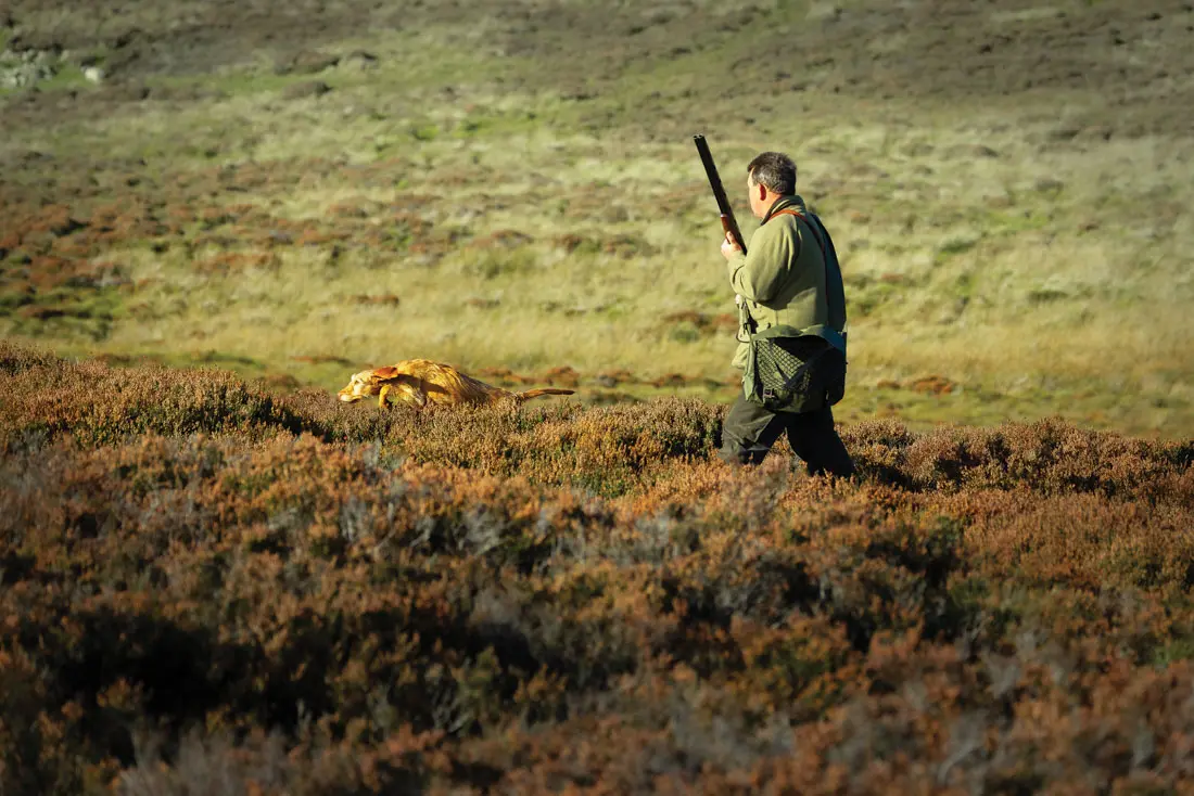 hunter roaming a field