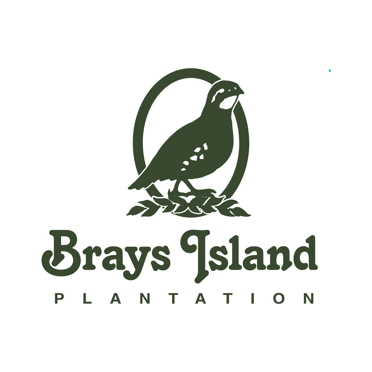 Sponsored by Brays Island Plantation
