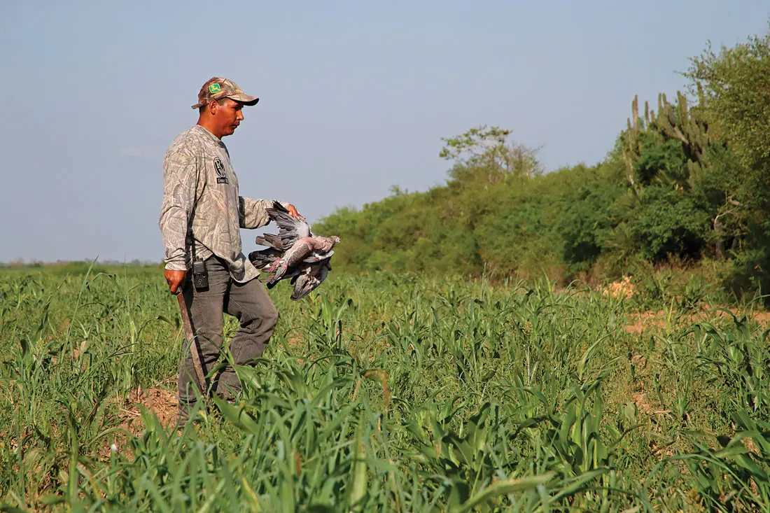 Bird boy w/Pigeons, South America