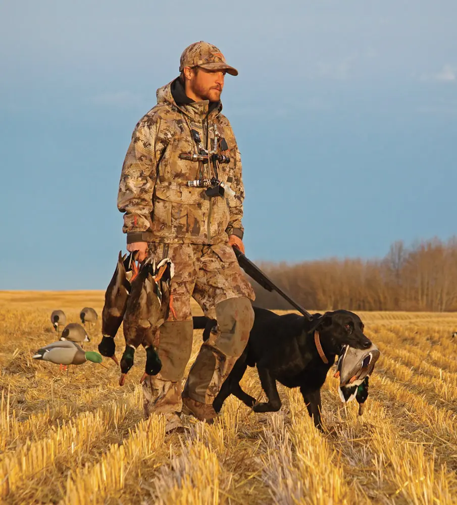 Hunter walking through a field with black Labrador retriever