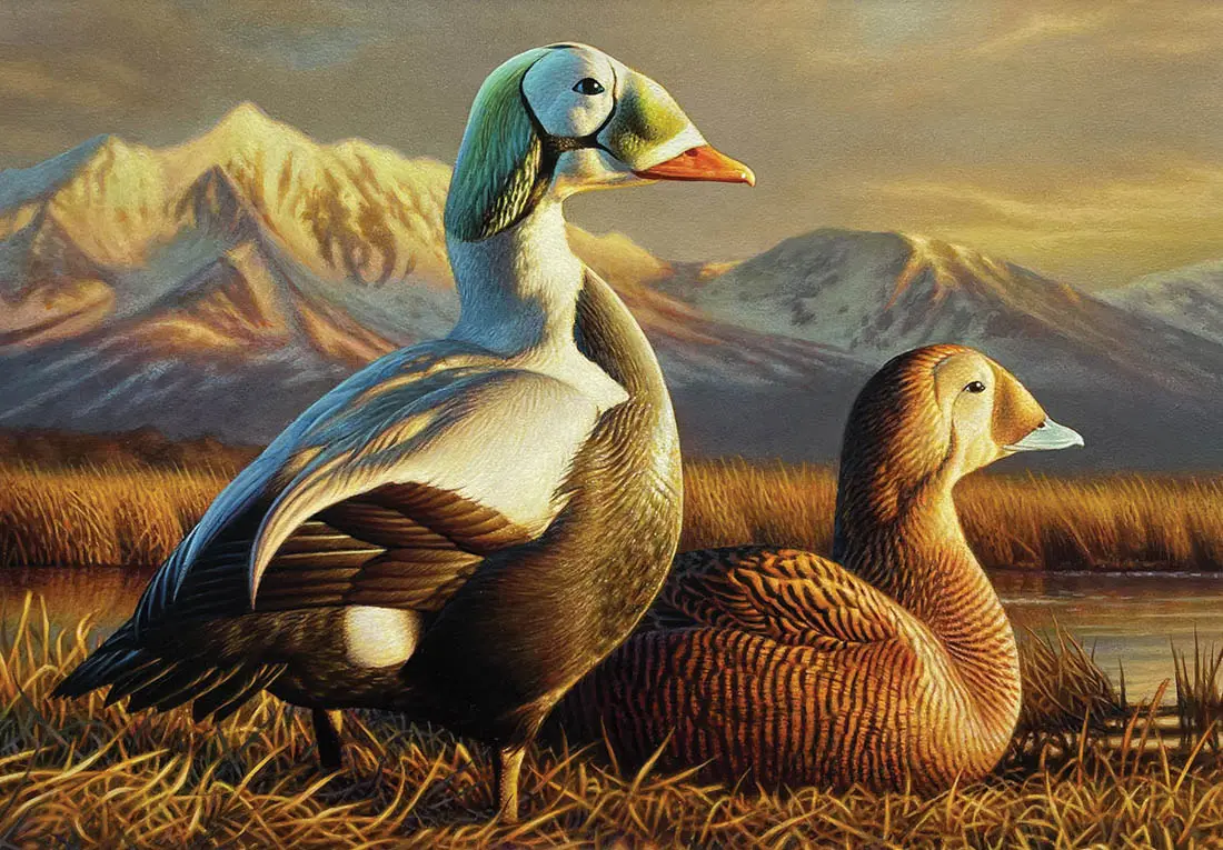 ducks looking off into the distance