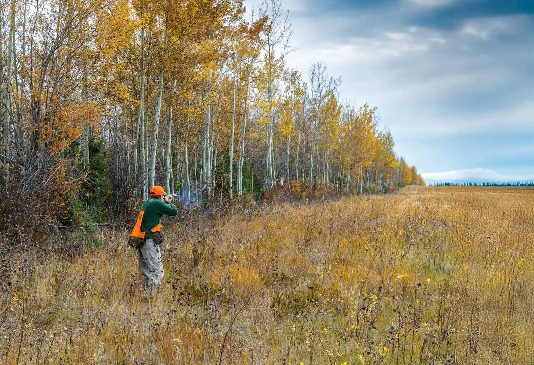 Hunter shooting in a field