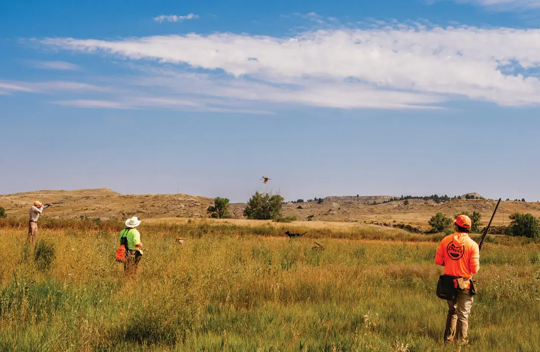 Hunters walking through a field