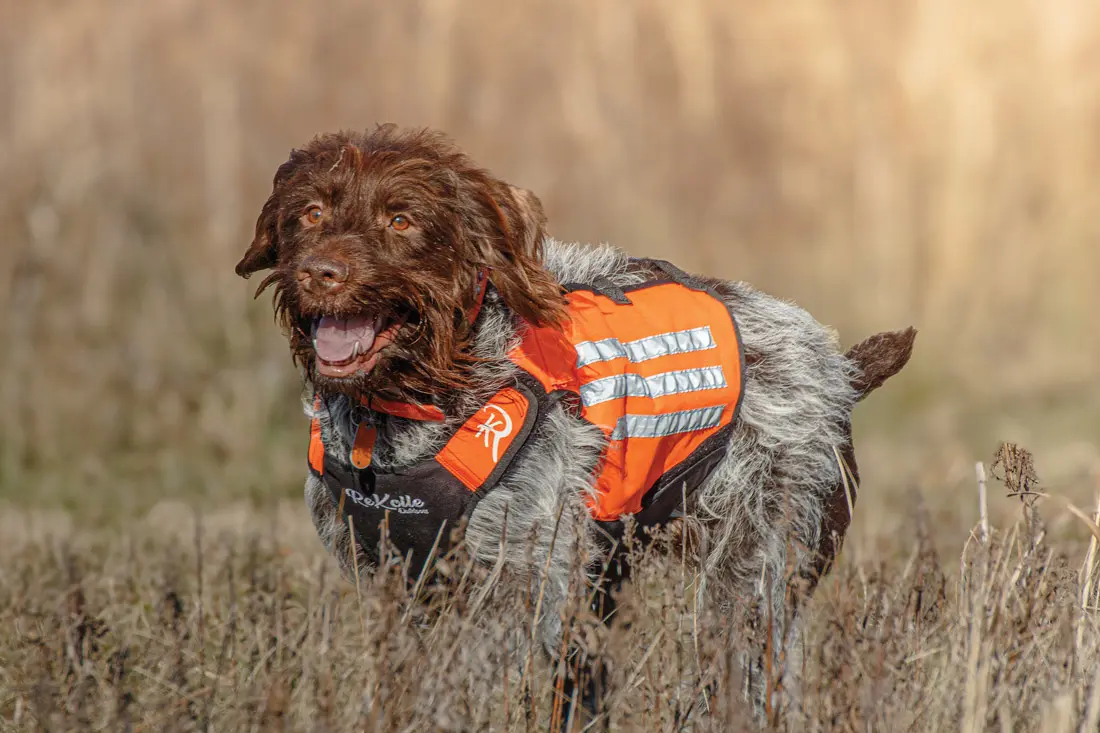 outdoor uplands vest