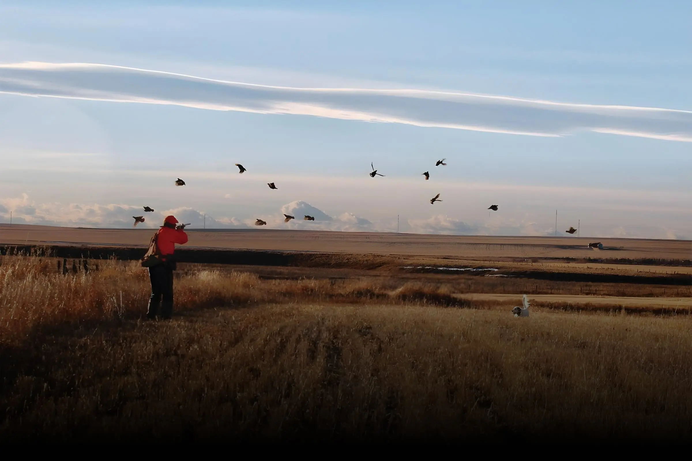Advertise with Shooting Sportsman Magazine