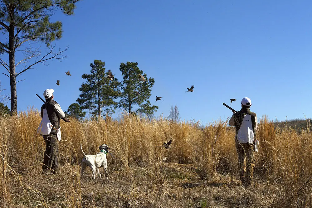 fishingcreekfarmsfield