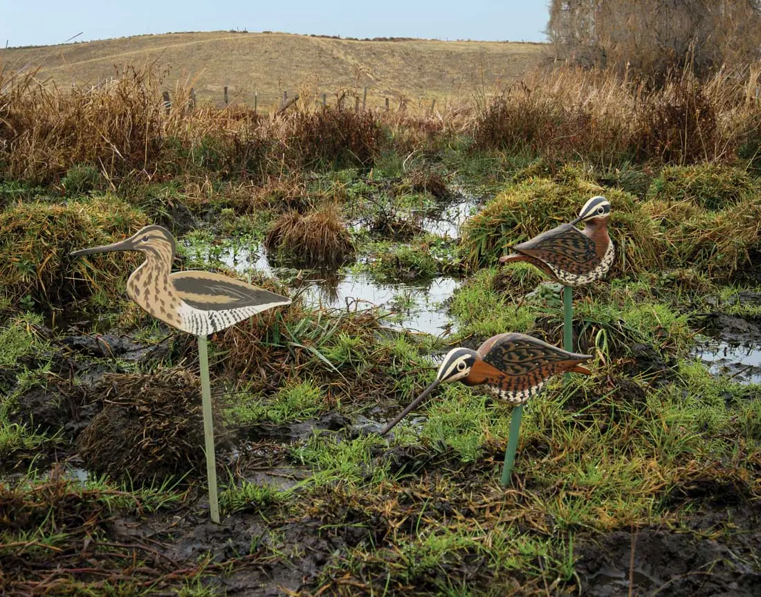 duck decoys in the field