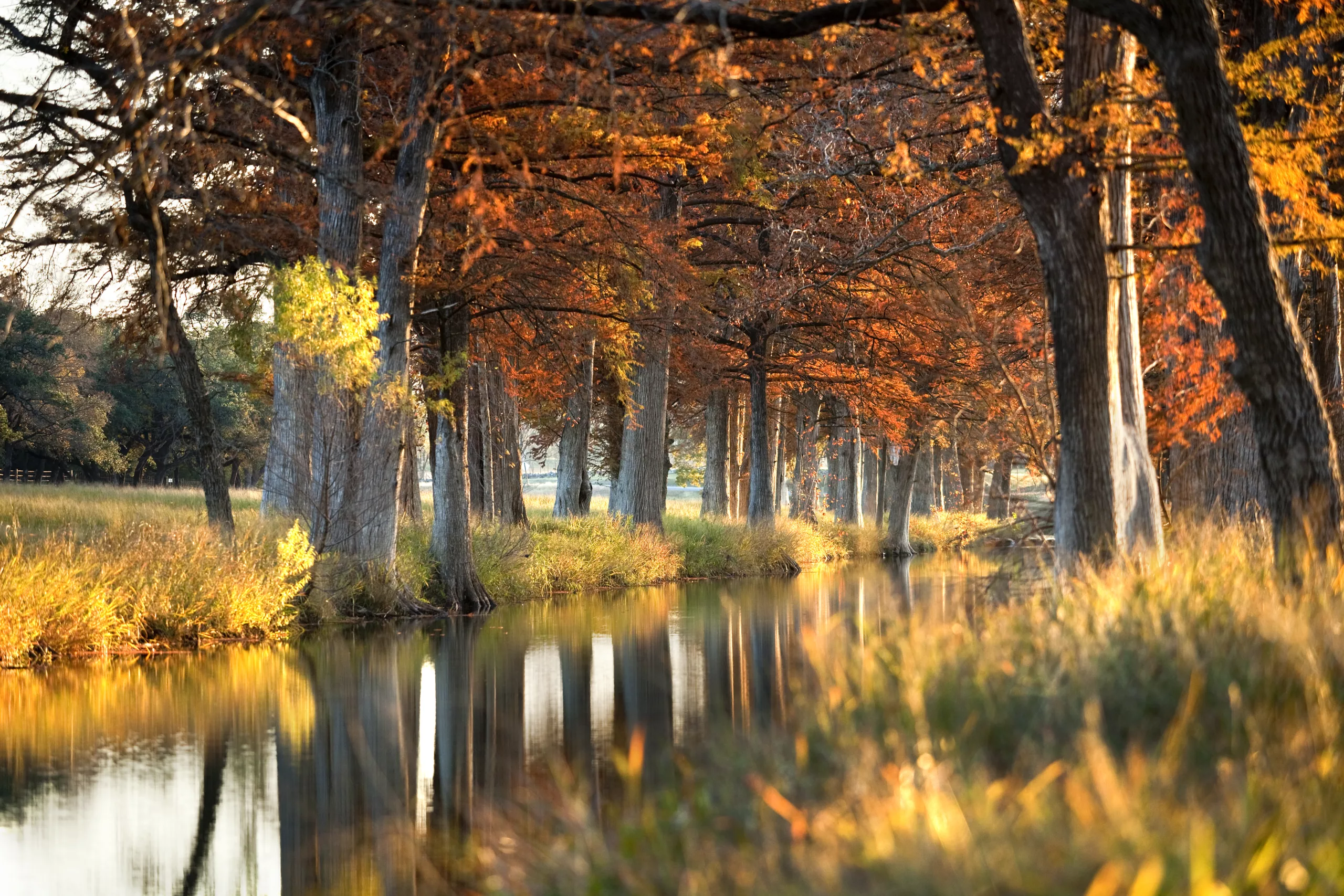 A creek at Joshua Creek Ranch