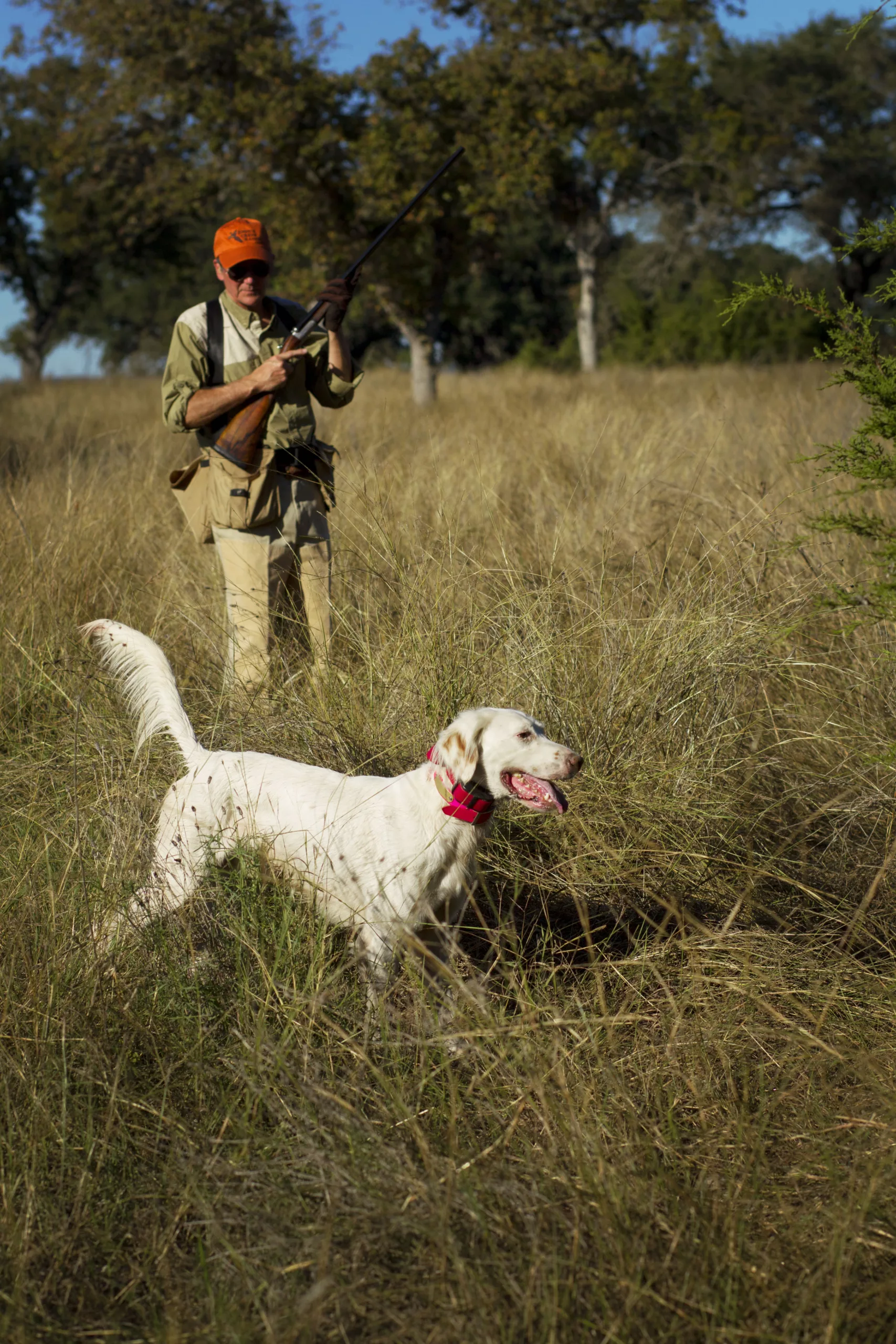 Hunter with his birdog in the field