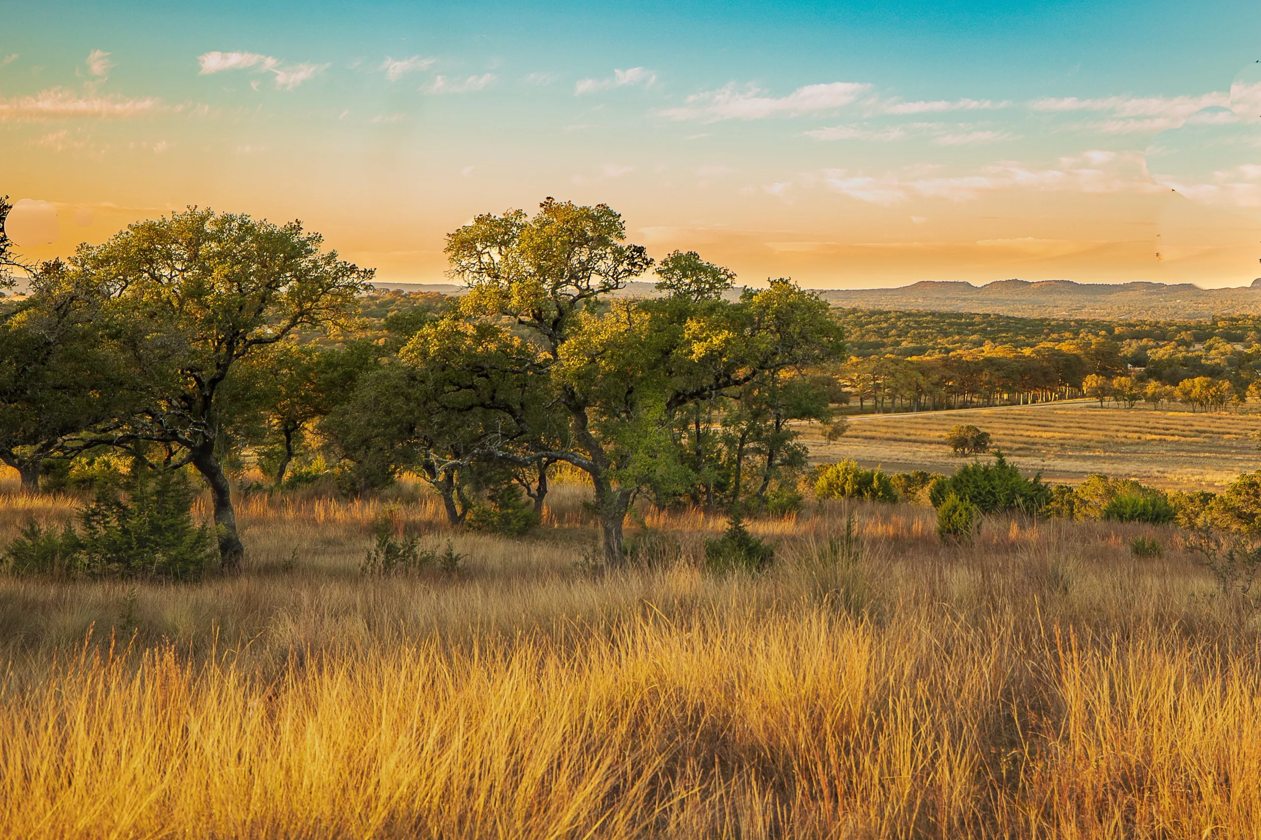 Morris Point at Joshua Creek Ranch