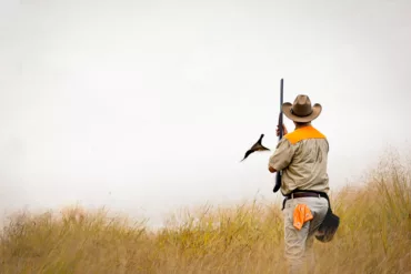 Pheasant flushing while a hunter watches at Joshua Creek Ranch